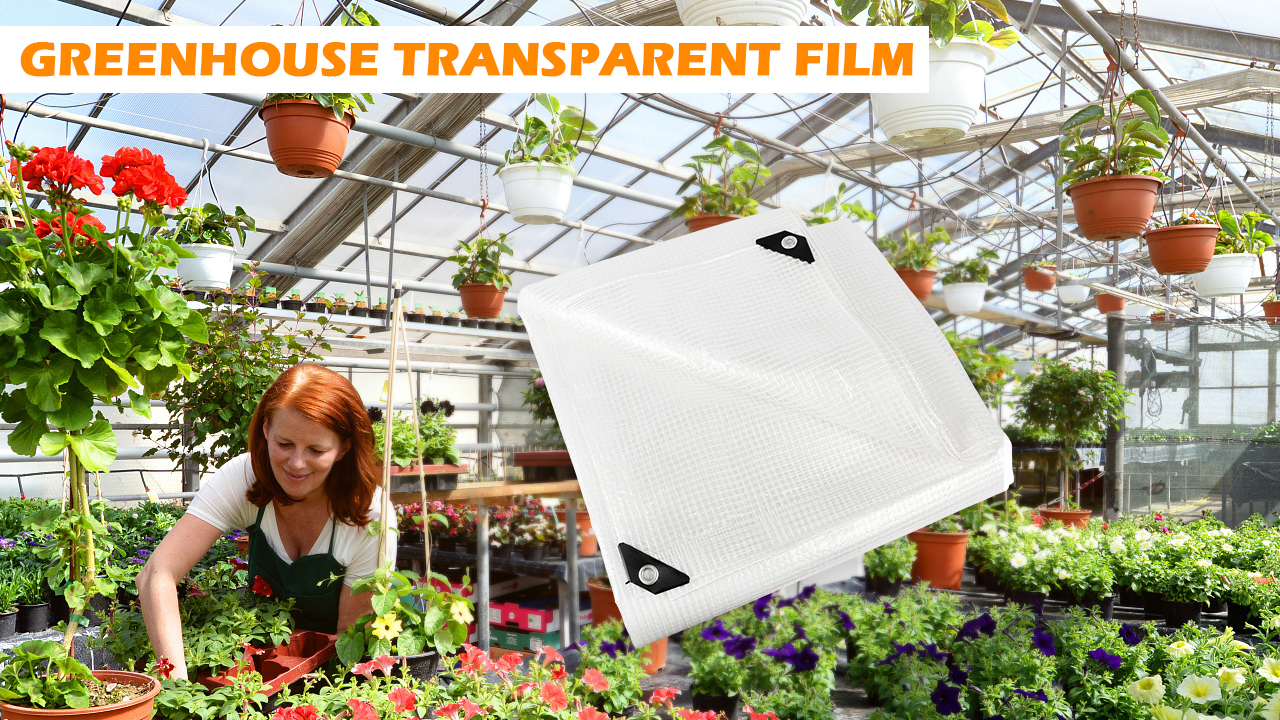 Amazon.com: Ansgery 16 Mil Greenhouse Cover,Clear Plastic Tarps